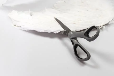 Scissors cutting angel wing Stock Photos