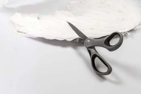 Scissors cutting angel's wing Stock Photos