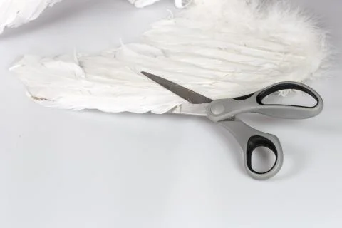 Scissors cutting angel's wing Stock Photos