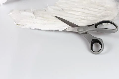 Scissors cutting angel's wing Stock Photos