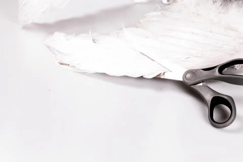 Scissors cutting angel's wing Stock Photos