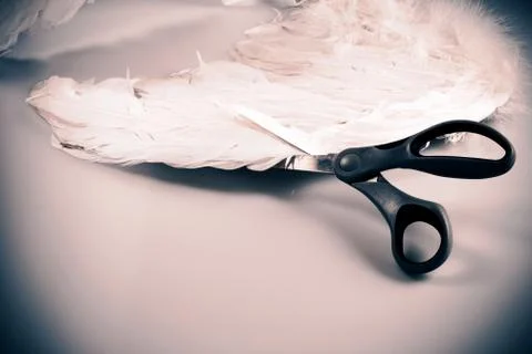 Scissors cutting angel's wing Stock Photos