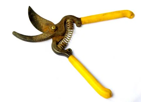 Scissors is cutting branches from tree, trimming Stock Photos