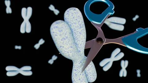 A scissors "cutting" chromosome Stock Illustration