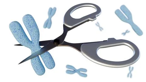 A scissors "cutting" chromosome Stock Illustration