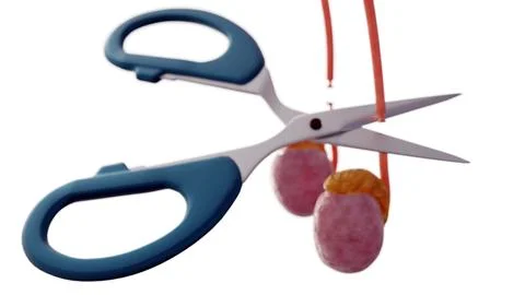 Scissors cutting off the vas deferens tubes Stock Illustration