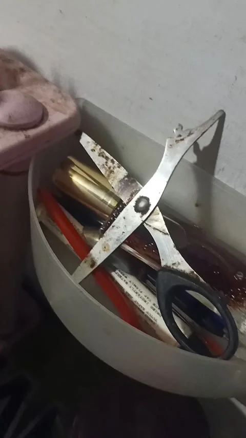 Scissors Stock Footage 235929297