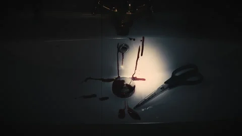 Scissors Found as Murder Weapon in Blood Stained Bathroom Sink Stock Footage 317965579