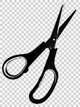 Scissors Stock Illustration