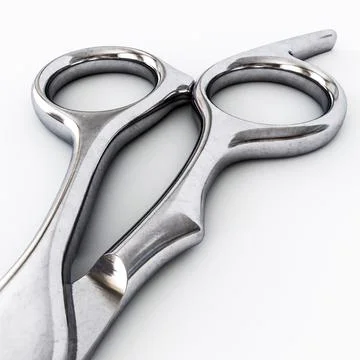 Scissors isolated on white background Stock Illustration