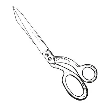 Scissors isolated on white background. Sketch. Vector. Stock Illustration