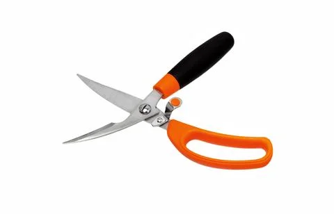 Scissors isolated on a white Stock Photos