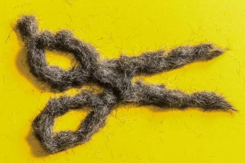 Scissors logo design made from real beard hair Stock Photos