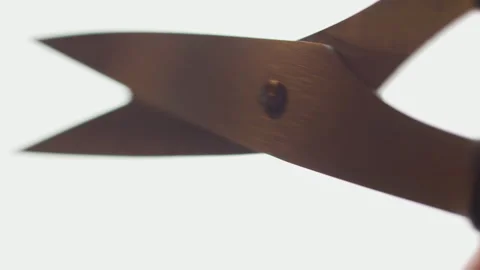 Scissors in macro close-up. White background. Stock Footage 218432604