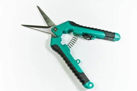 Scissors on metal Foto stock