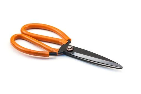 Scissors Stock Photos