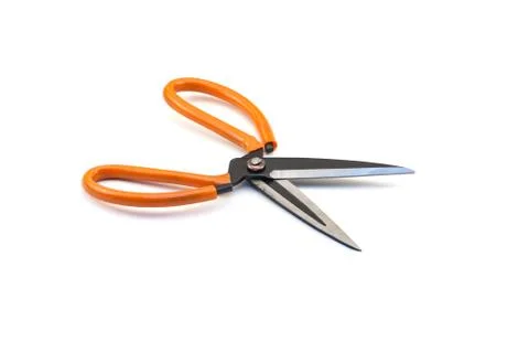 Scissors Stock Photos