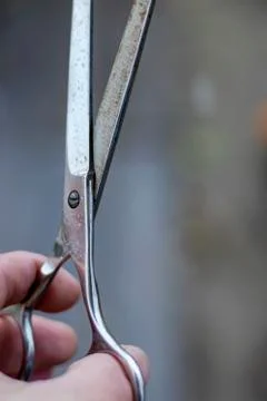 Scissors. Stock Photos