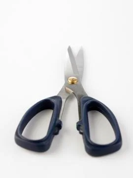 Scissors Stock Photos