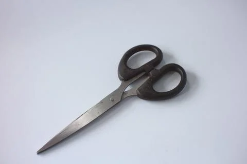 Scissors. 스톡 사진