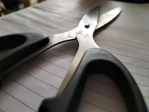 Scissors 写真素材