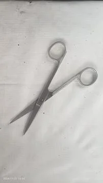 Scissors Stock Photos