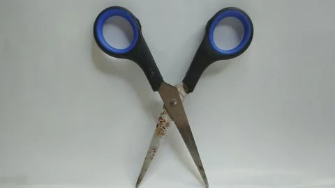 Scissors Stock Photos