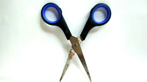 Scissors Stock Photos