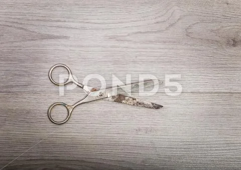 Scissors Sits On A Wood Table