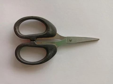 Scissors, stainless scissors Stock Photos
