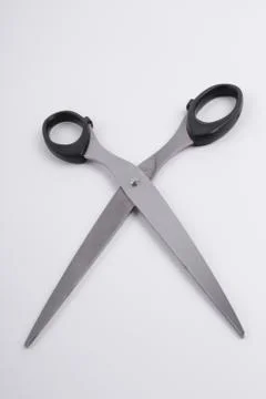 Scissors on a white background Stock Photos