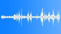 Sclerophyll Forest Atmosphere EarlySound Effect