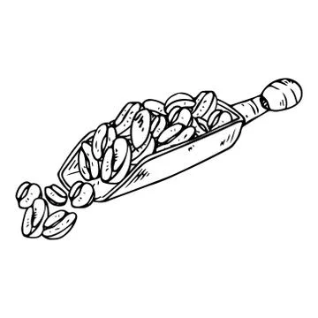 Scoop for coffee beans icon. Vector illustration of a scoop for coffee beans. Illustrazione stock