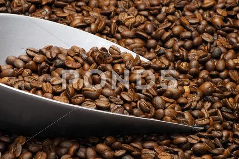 Scoop In A Heap Of Roasted Coffee Beans