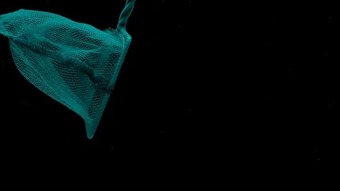Scoop-net floating under transparent water on black background Stock Footage 108782805