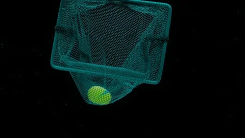 Scoop-net with green grape inside floating under transparent water Stock Footage 108782830