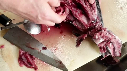 Scooping akami red meat from a fresh bluefin tuna head with a spoon, close up Stockbeeldmateriaal 339312880