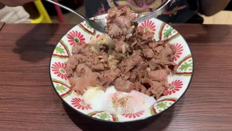 Scooping Beef and Rice with Egg in Colorful Bowl Stock Footage 318509381