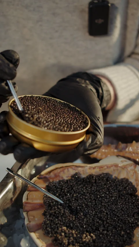 Scooping black caviar from tin above scallop shell Stock Footage 309568330