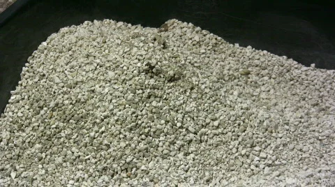 Scooping Cat Poop 動画素材 303510
