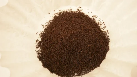 Scooping coffee into filter Stock Footage 71540118