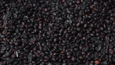 Scooping Dark Roasted Coffee Beans From Above Close Up Stock Footage 346684836
