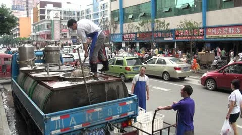 Scooping fish out of a tank in the middle of a road in Chengdu, China Stock Footage