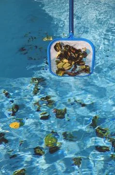 Scooping leaves from pool - vertical Stock Photos