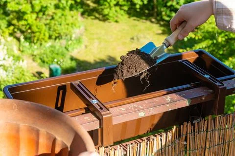 Scooping soil into balcony planter box photo Photos