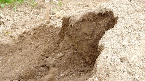 Scooping soil with a shovel Stock Footage 37180685