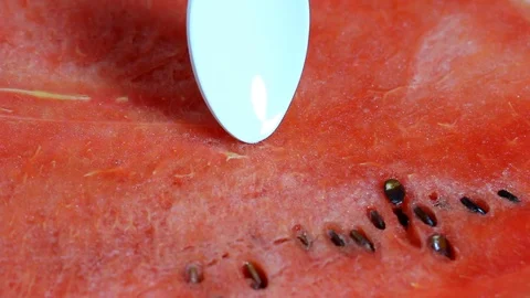 Scooping watermelon, close up Stock Footage 101734062