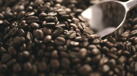 Scooping Whole Coffee Beans Stock-Footage 57405299