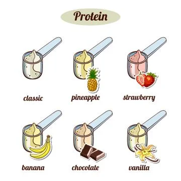 Scoops With Different Protein Powder Stock Illustration