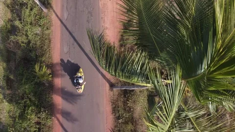 Scooter Drives Under Palm Trees, Goa Stock Footage 314852799
